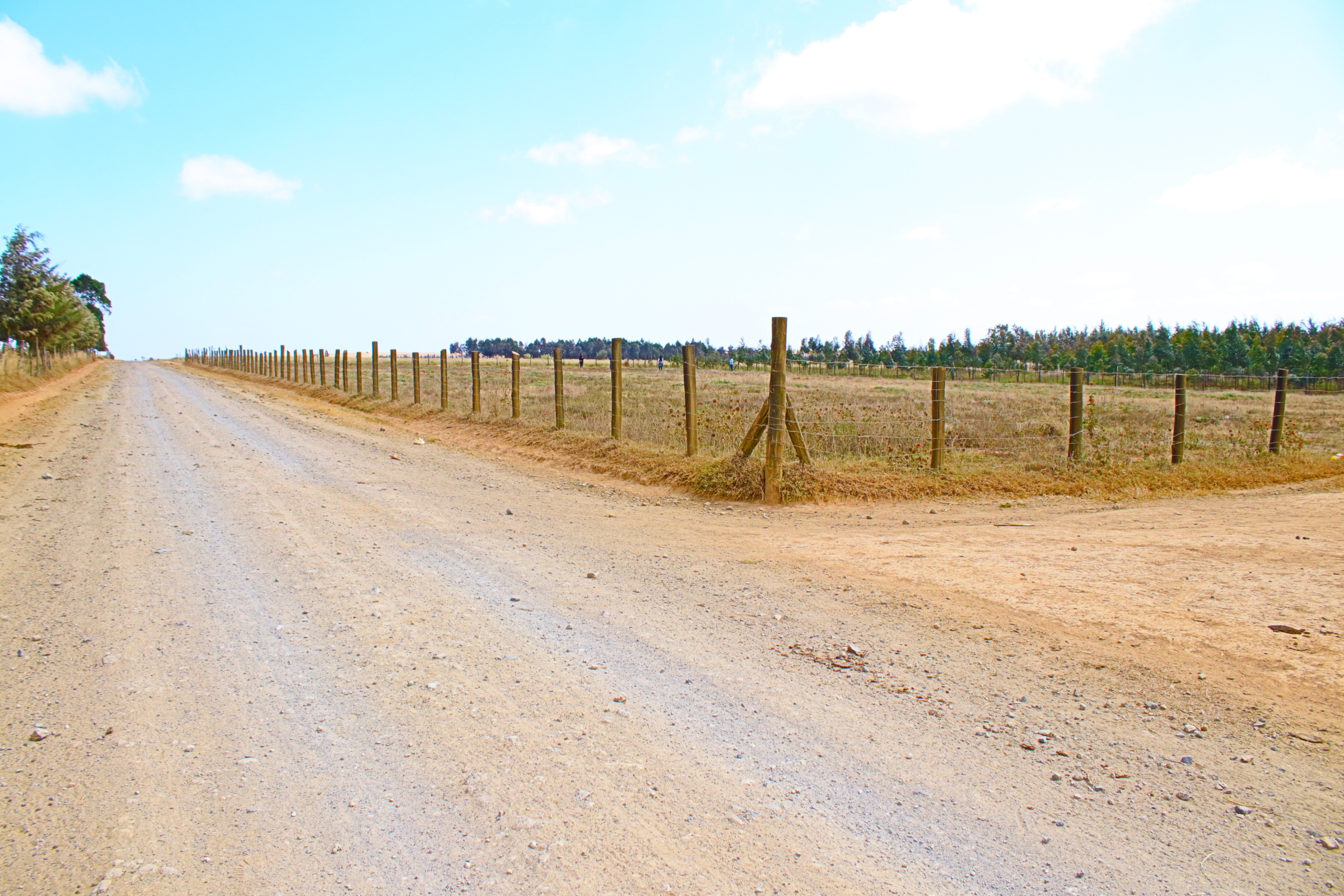 Explore prime plots for sale in Narumoro, opposite Salio Ranch. Priced at Ksh 325,000, these ready-to-build plots feature easy access, available utilities, and a thriving community. Secure your investment in 2024 with Smart Solutions Realtors.