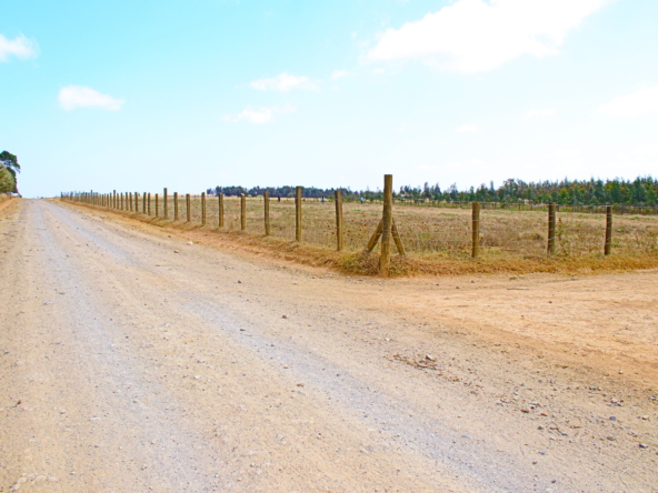 Explore comprehensive real estate services with Smart Solutions Realtors. From property buying and selling to renting and investment advice, our expert agents provide tailored solutions to meet your needs. Contact us for professional guidance today.