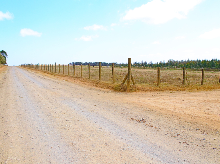 Explore comprehensive real estate services with Smart Solutions Realtors. From property buying and selling to renting and investment advice, our expert agents provide tailored solutions to meet your needs. Contact us for professional guidance today.