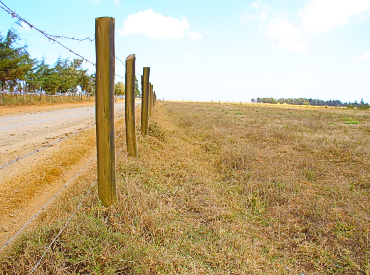 Browse featured properties for sale and rent with Smart Solutions Realtors. Explore a wide range of homes, apartments, and commercial spaces. Find your perfect property today with expert guidance from our real estate team.