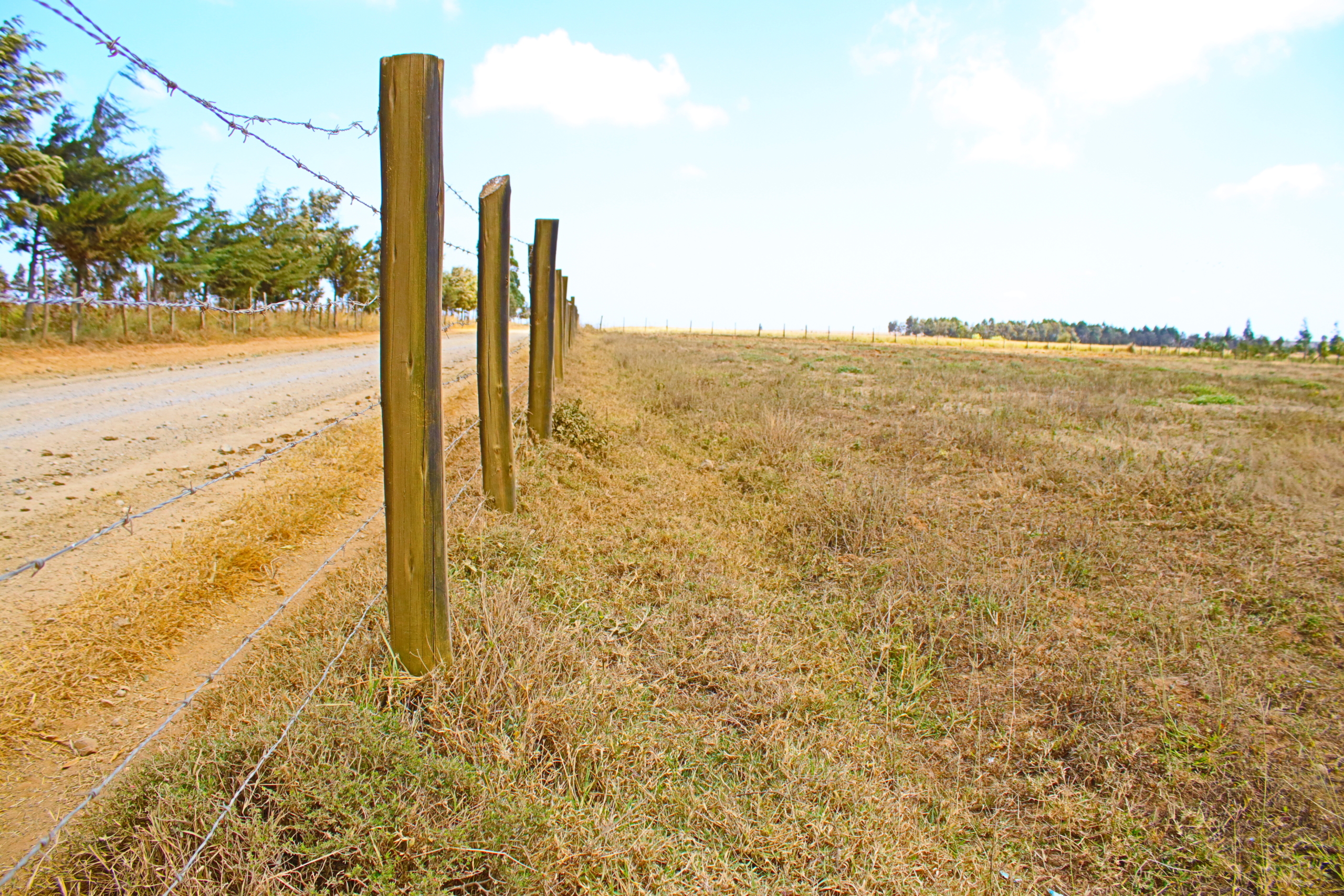 Browse featured properties for sale and rent with Smart Solutions Realtors. Explore a wide range of homes, apartments, and commercial spaces. Find your perfect property today with expert guidance from our real estate team.